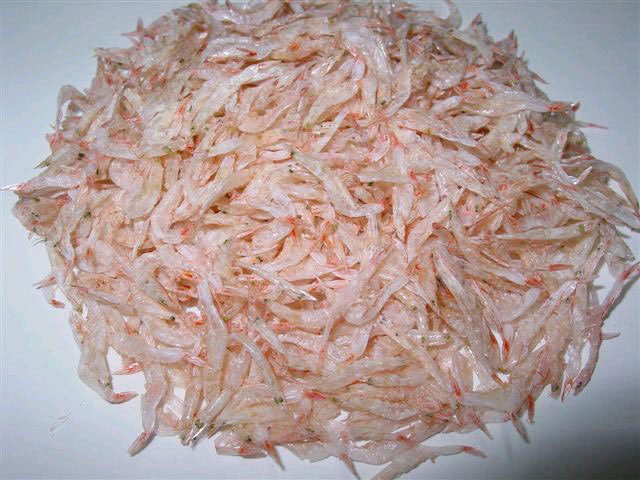 Ingrédients (1) : Petites crevettes séchées (虾皮)